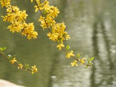 -海棠花溪(元大都城垣遗址公园)