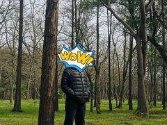 -蜀冈西峰生态公园