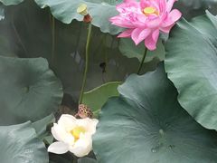 -黄兴公园