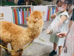-1013 PET SHOP 宠物商店(近铁城市广场店)
