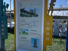 -上海都市菜园
