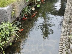 -前童古镇