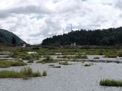 -腾冲北海湿地