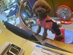 -川外川(星海店)