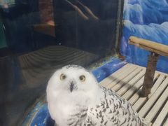 -成都浩海立方海洋公园