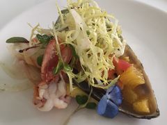 -蝶舍·MAISON PAPILLON