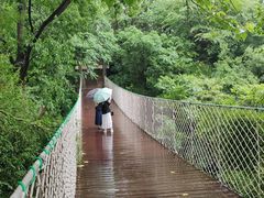 -敬亭山风景名胜区