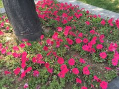 -汉堡小子(周巷店)