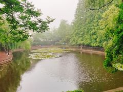 -八大关景区