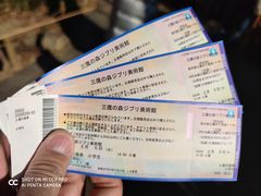 游乐设施-三鹰之森吉卜力美术馆