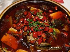 渝信毛血旺-渝信川菜(华盛店)