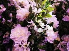 -东方御花园酒店