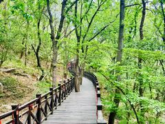 -虞山风景区