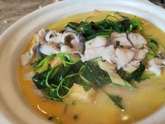 -刘胖子家常菜·蹄花焖藕(中央花园店)