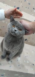 -Moni星球萌宠·小马宝莉·灵蛇·高端高阶全萌宠互动体验俱乐部(红豆国际广场店)