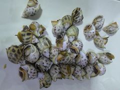 -东江海鲜大排档·潮汕菜·砂锅粥