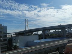 -BUS TOUR观光巴士