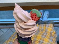 -麦当劳(塔园路店)