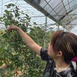 在济南实现树莓自由你敢信？！[加油]