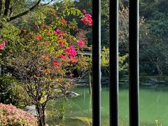-云溪植物园