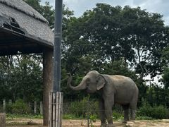 -清迈夜间动物园