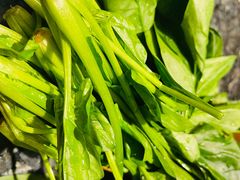 -欧阳小姐在成都(鼓楼店)