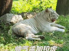 -西安秦岭野生动物园