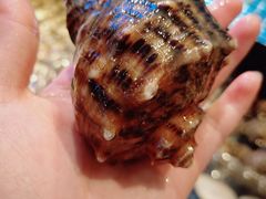 -海鲜谷(瓯悦店)