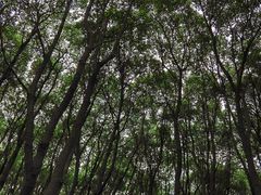 -白马涧龙池景区