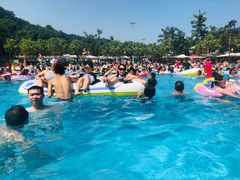 -重庆海昌加勒比海水世界