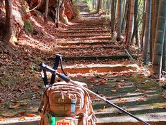 -大围山国家森林公园