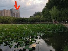 -青城公园