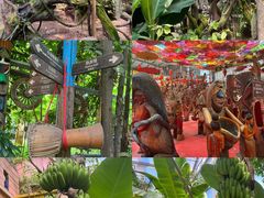 -呀路古热带植物园