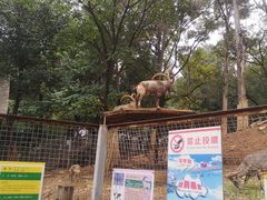 -昆明动物园