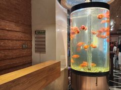 -红鱼湾餐厅(国际大厦店)