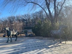 -元大都城垣遗址公园