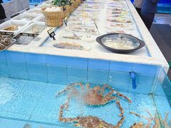 -莆鑫海鲜城(浏河店)