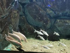 -常州海昌海洋探索馆