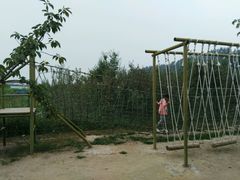 android_upload_pic-兰陵国家农业公园