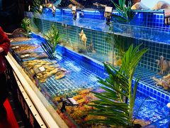 -必点海鲜·鲅鱼水饺(鞍山西道店)