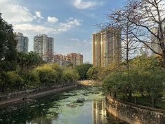 -晓港公园