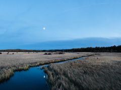 景点-塞罕坝国家级自然保护区