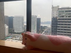 -猫腻·猫咖·撸猫馆(星光大道店)