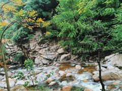 -陕西省红河谷森林公园
