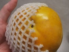 -ELI FALAFEL Lebanese&Mediterranean黎巴嫩美食(富城路店)