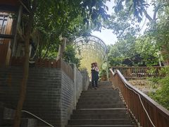 -张鸟园农家乐(张鸟园店)