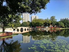 -荔湾湖公园