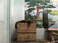 -西安秦岭野生动物园