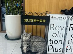-宠欣安宠物医院·包河区中心医院