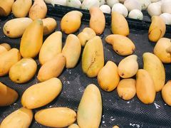 -三江购物(东裕店)